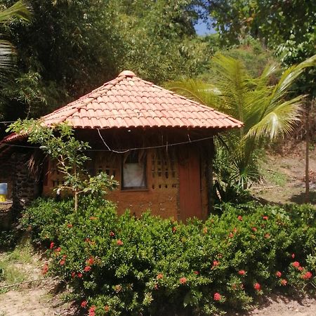 Ecopousada Casa Do Carimbo Fortalezinha Algodoal Ngoại thất bức ảnh